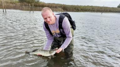 Caballos y verdugos 1x4